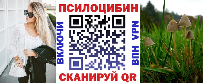 закладка  Цимлянск  Галлюциногенные грибы Magic Shrooms 